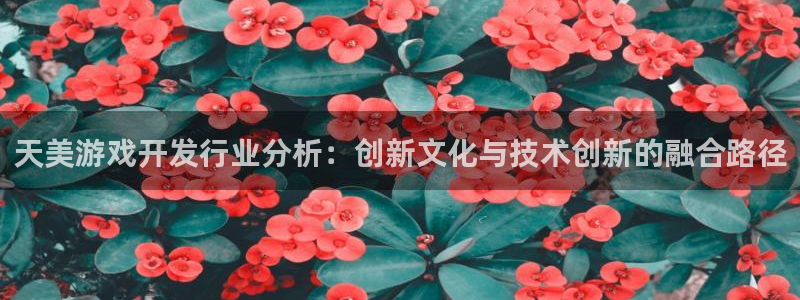 新宝GG官网登录注册账号安全吗是真的吗：天美游戏开发行业分析：创新文化与技术创新的融合路径