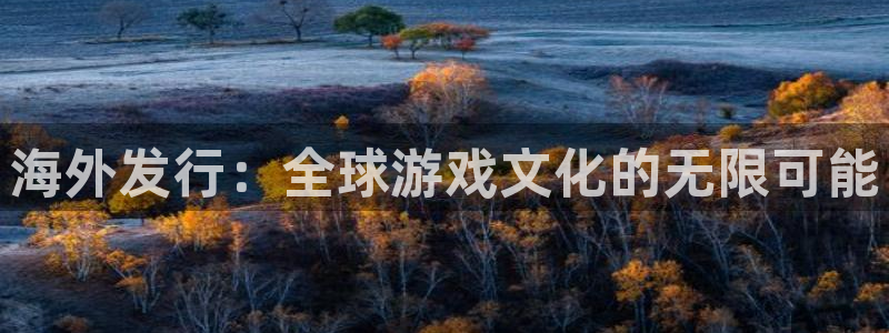 新宝GG子股价：海外发行：全球游戏文化的无限可能