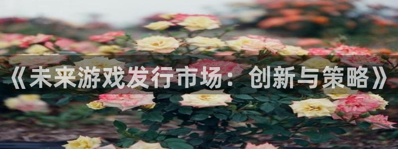 新宝GG官网怎么注册账号：《未来游戏发行市场：创新与策略》