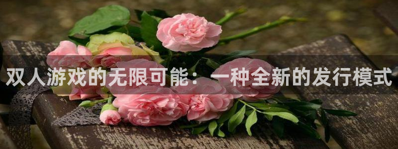 新宝GG电子科技：双人游戏的无限可能：一种全新的发行模式