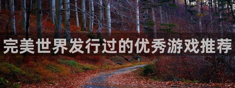 新宝GG官网登录注册不了怎么办：完美世界发行过的优秀游戏推荐