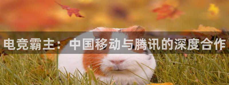 新宝GG官网平台会黑款吗：电竞霸主：中国移动与腾讯的深度合作