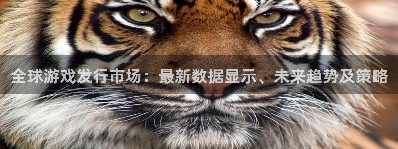 新宝GG官网客服招聘