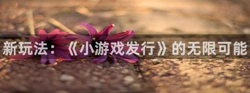新宝GG官网解绑银行卡怎么弄：新玩法：《小游戏发行》的无限可能