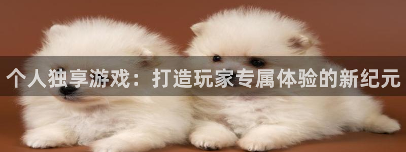 新宝GG子酒业