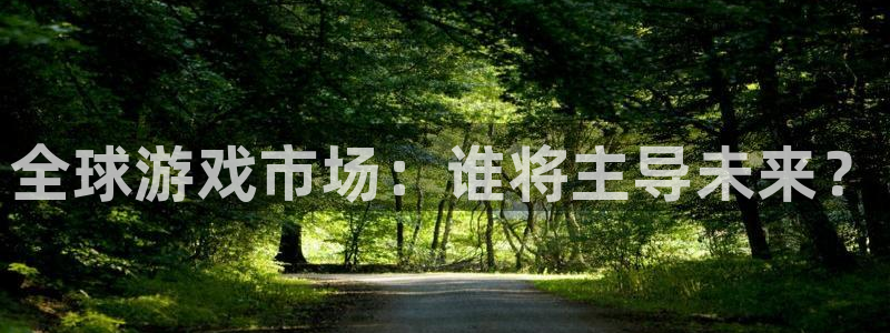 新宝GG子股价：全球游戏市场：谁将主导未来？