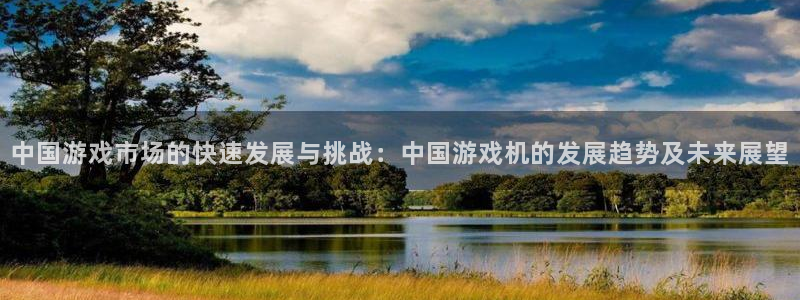 新宝GG官网客服服务：中国游戏市场的快速发展与挑战：中国游戏机的发展趋势及未来展望