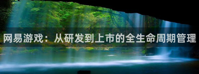佛山新宝GG电子商务：网易游戏：从研发到上市的全生命周期管理