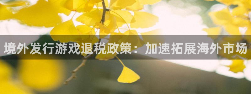 长沙新宝GG子电子商务有限公司