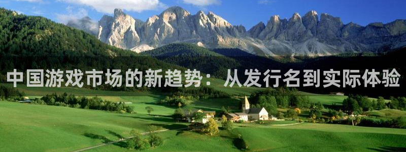 新宝GG技术有限公司怎么样