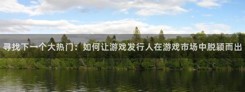 新宝GG电子商务有限公司：寻找下一个大热门：如何让游戏发行人在游戏市场中脱颖而出