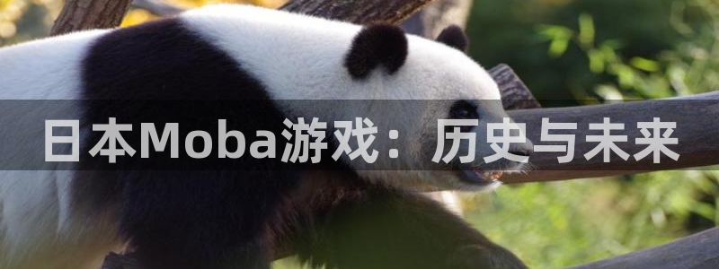 广州新宝GG网络科技有限公司电话：日本Moba游戏：历史与未来
