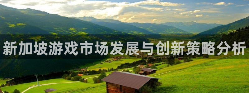 新宝GG子图片高清图片：新加坡游戏市场发展与创新策略分析