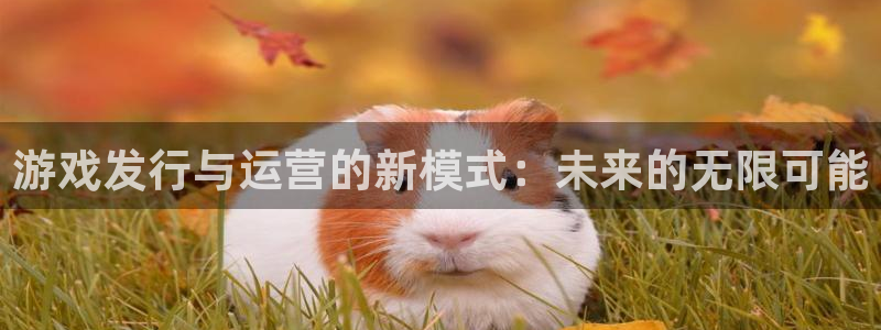 新宝GG服装品牌